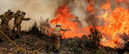 Thảm họa cháy rừng tại miền Trung Bồ Đào Nha, ngày 18/6.